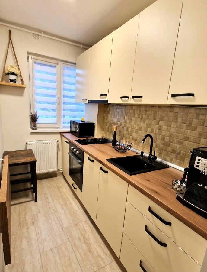 Apartamentul Gaviota Timisoara Exterior photo